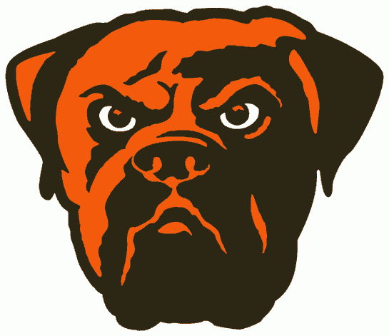 Cleveland Browns 2003-2014 Alternate Logo fabric transfer